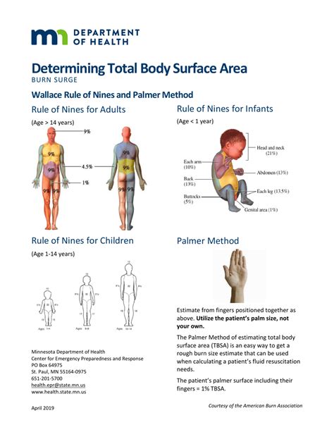 Minnesota Body Surface Area Chart Determining Total Body Surface Area