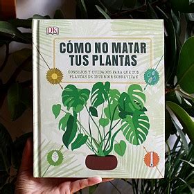 Gu A C Mo No Matar Tus Plantas Mercafan