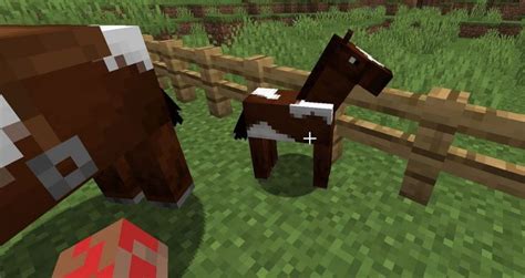 How To Breed Horses In Minecraft Roonby