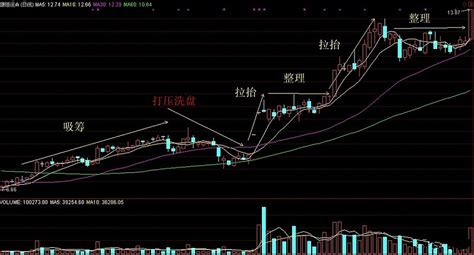 主力坐庄全流程解析（图文精华版） 庄家分析 庄家是股市的一个特殊群体，他们掌握着至少可以左右一只个股的资金实力，通过主动影响股价实现其自身的