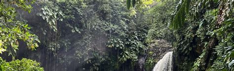 Saut De La L Zarde Basse Terre Guadeloupe Alltrails