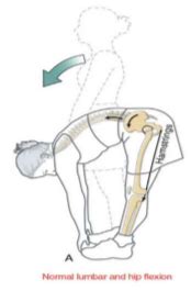 Lab And Spine Rom Lumbopelvic Rhythm Spine Palpation And Joint