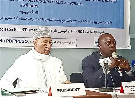 Tchad Lonu A Lancé Le Projet Sur Le Désarmement Dans Le Cadre De L