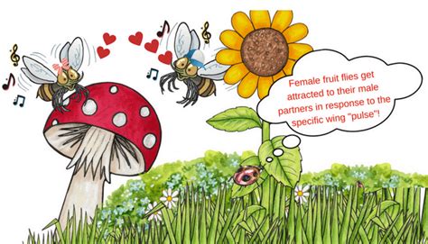 fruit flies   taste   enago academy