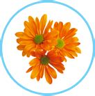 Мазь Флеминга при рините (насморке). Инструкция по применению. Отзывы