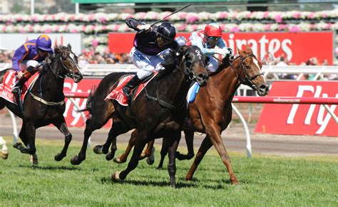 Fiorente – Stallions