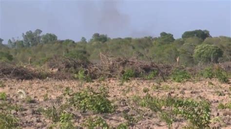 Maranh O O Segundo No Ranking De Estados Que Desmata O Cerrado