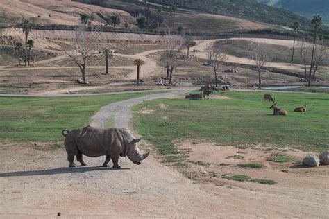 San Diego Zoo Safari Park, Escondido, CA - California Beaches