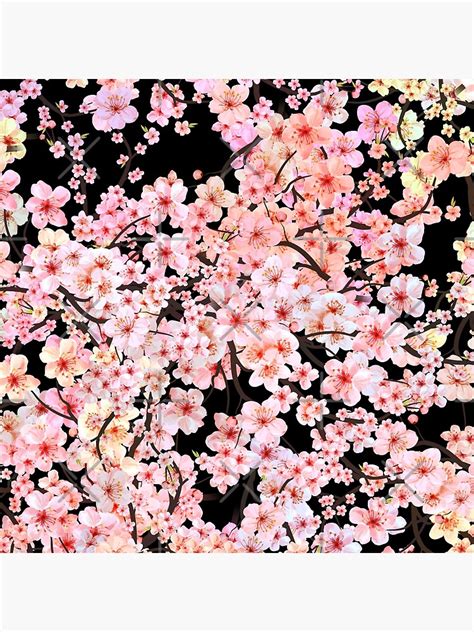 Japanese Pink Sakura Cherry Blossom Flower Poster For Sale By