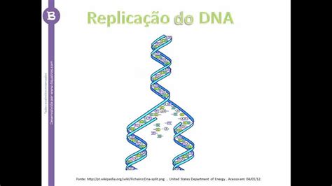 Questão ENEM 2011 62 Replicação do DNA 4QUATROS YouTube