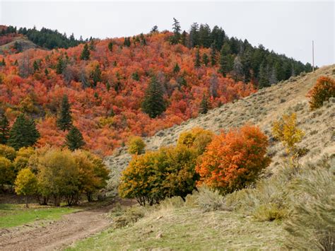 35 Absolute Best Things to Do in Idaho in Fall