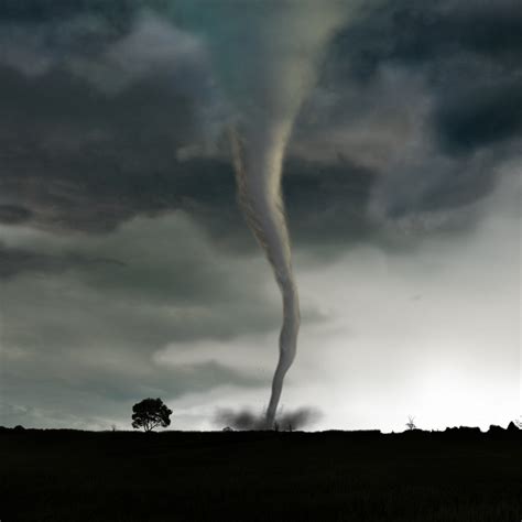 Tornado Rigged Animation Max