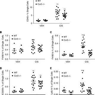 ccr  blocked inflammatory monocyte  macrophage infiltration