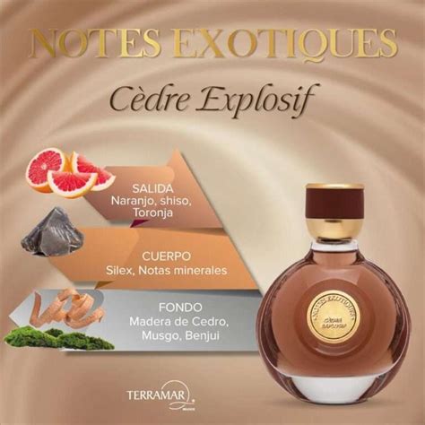 Perfume Cédre Explosif para Caballero Terramar Terramar