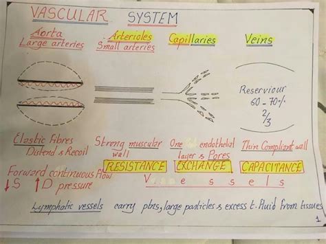 Solution Cvs Dr Nagi Diagrams Studypool