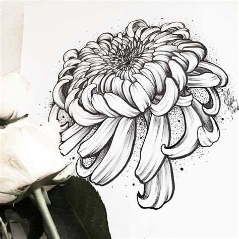 Chrysanthemum Sketch at PaintingValley.com | Explore collection of ...