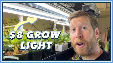 Don T Buy Grow Lights Youtube