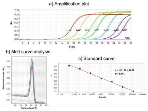 Development Of Sddv Qpcr Assay A Amplification Plot Of 10 Fold