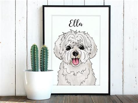 White Maltese Poodle
