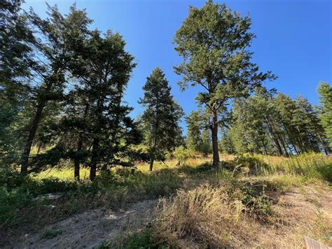 Addy Stevens County WA Undeveloped Land Lakefront Property