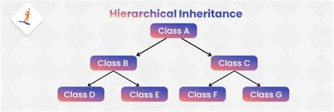 Hierarchical Inheritance In C Syntax Implementation Advantages