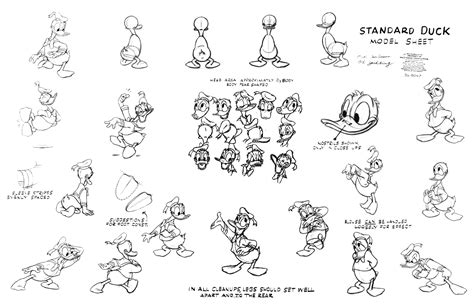 Donald Duck Model Sheet