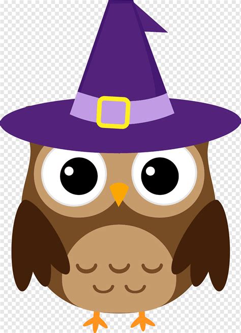 Halloween Lechuza Mago Marr N P Rpura Sombrero Vertebrado Png Pngwing