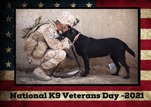 Honor Mans Best Friend On National K9 Veterans Day Military Connection