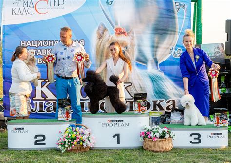 КВ 4125 — Postimages