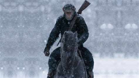 768x1024 resolution | monkey riding horse with rifle HD wallpaper ...