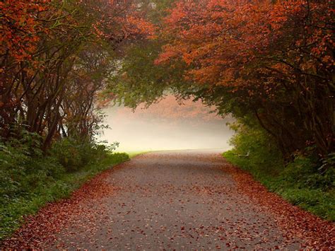 NATTURE - world pics