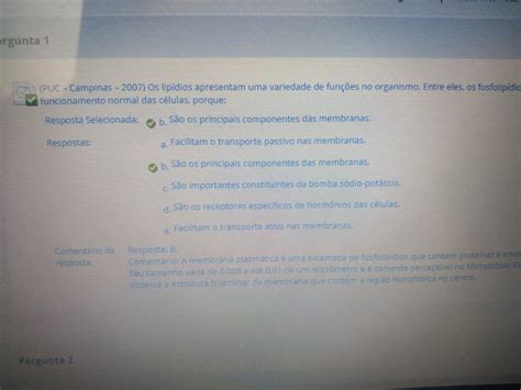 Puc Campinas Os Lip Dios Apresentam Uma Variedades De Fun Es No