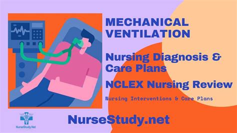 Mechanical Ventilation Nursing Diagnosis And Care Plan Nursestudynet