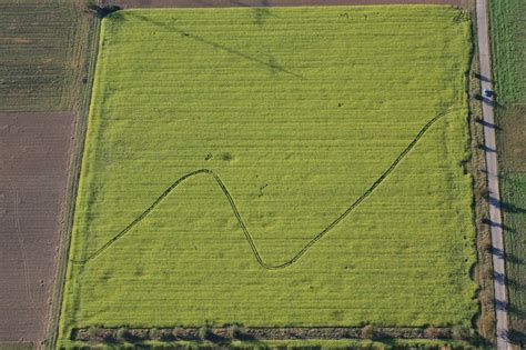 Auggen Aus Der Vogelperspektive Feld Landschaft Gelb Bl Hender Raps