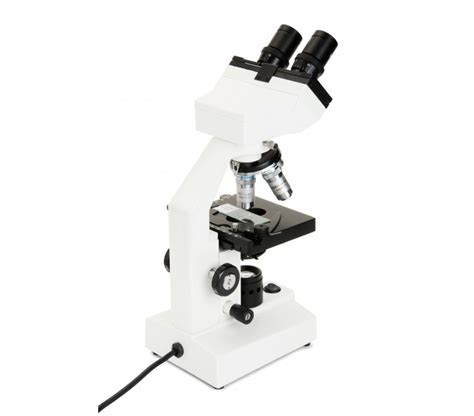 Celestron Labs Cb2000cf Compound Binocular Microscope