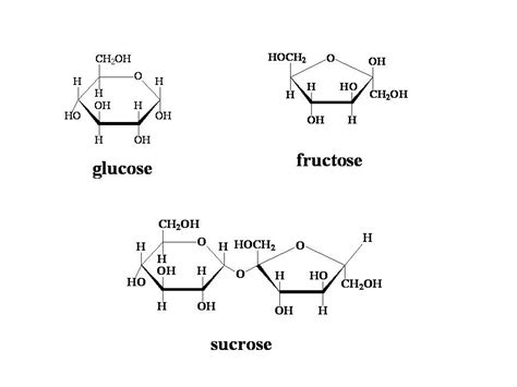 Simple Sugars: Fructose, glucose and sucrose | Molecule tattoo ...