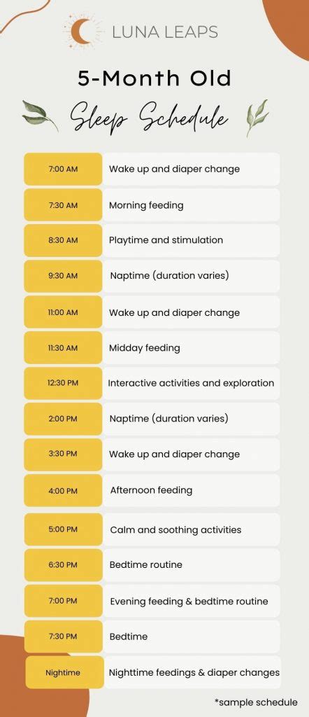 5 Month Old Sleep Schedule, Naps & Wake Windows | Luna Leaps