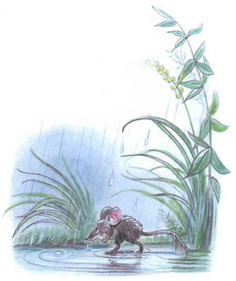 Сказка Под грибом | читать, Владимир Сутеев