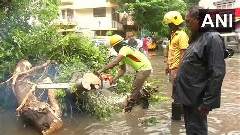 Chennai Rains Heavy Downpour Causes Waterlogging In…