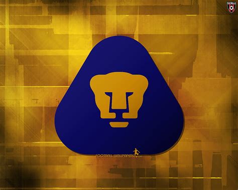 Pumas U N A M Pumas UNAM HD Wallpaper Pxfuel