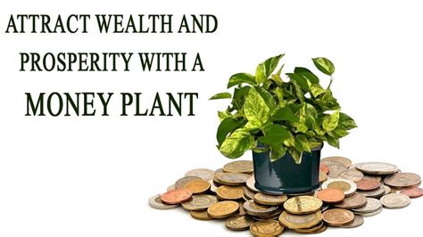 Vastu Tips For Bringing Wealth And Prosperity In Life Future Point