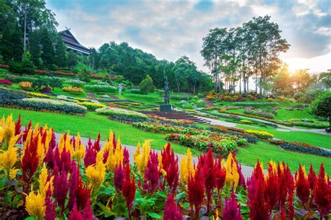 Créez maintenant votre jardin de fleurs à faible entretien