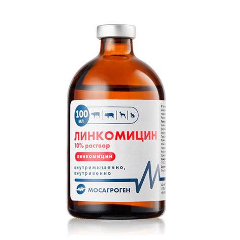 Линкомицин 10%, раствор для инъекций, 100 мл – купить за 350 руб ...