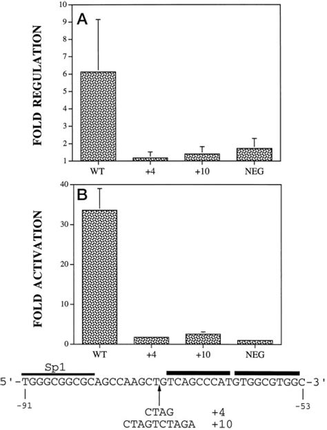 Two Tandem Binding Sites For Sterol Regulatory Element Binding Proteins