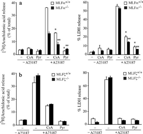 A23187 Stimulated Cell Death And 3 H Arachidonic Acid Release Occur