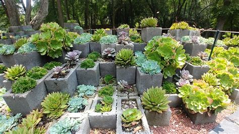 park source yard  photo  pixabay pixabay