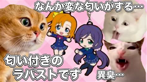 ラブライブの臭いラバスト【猫ミーム】 猫マニ 猫ミーム Youtube