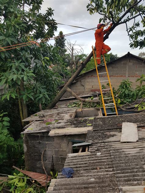 Evakuasi Pohon Tumbang Menimpa Sebuah Rumah Damkar Kota Depok