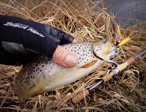 ITUMO fishing lures - Home | Facebook