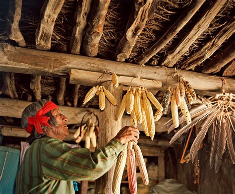 The Miracle of Hopi Corn | Arizona Highways